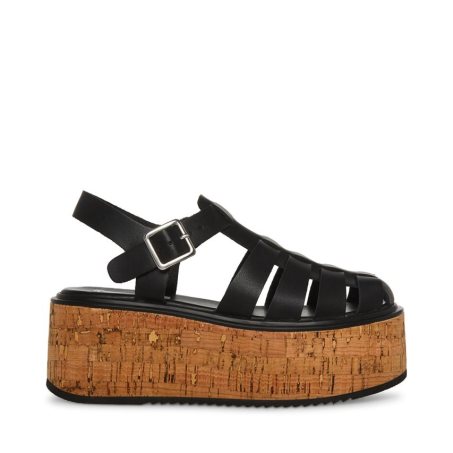 Black Steve Madden Lazlo Leather Women's Platform Sandals | PH 5912WNE